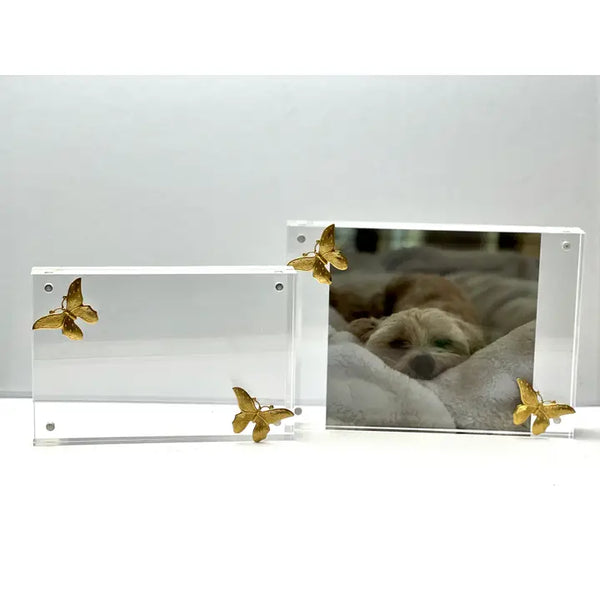 Butterfly Acrylic Frame