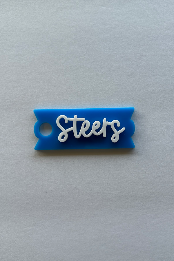 Steers Tumbler Plate - Blue