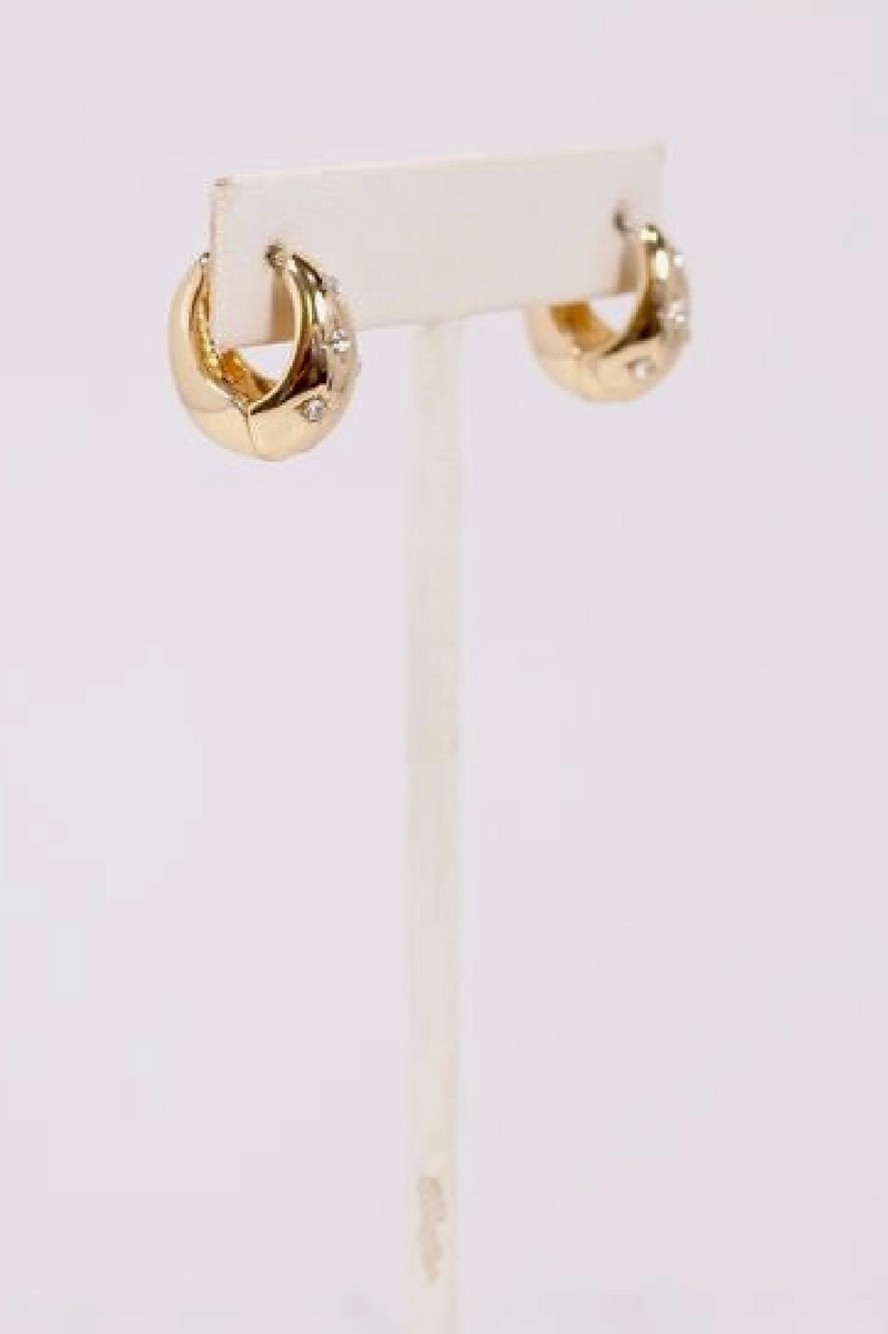 Feeona Hoop Earrings