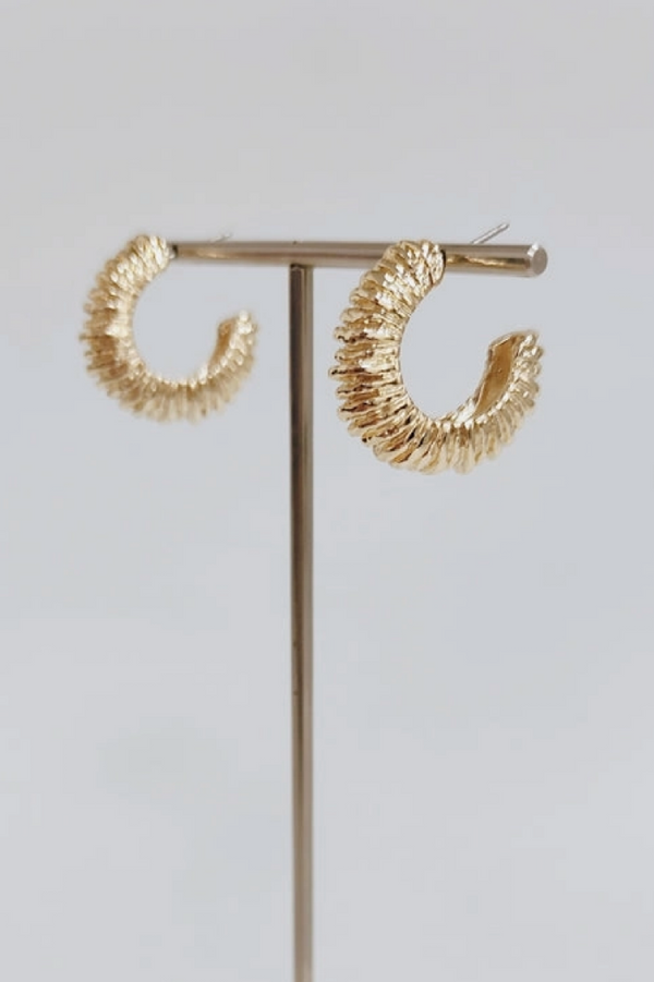 Gold Textured Hoops