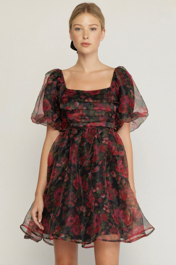 'Love + Romance' Dress