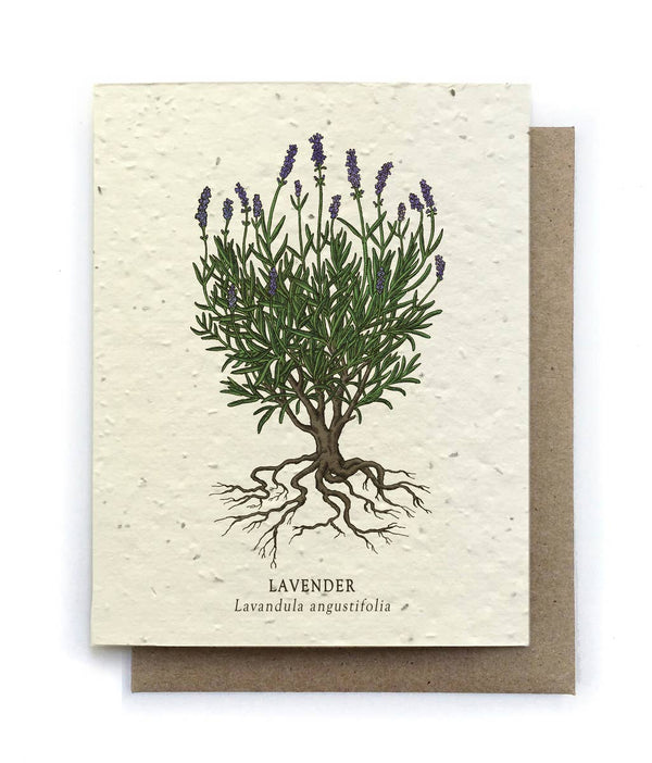 Plantable Card - Lavender