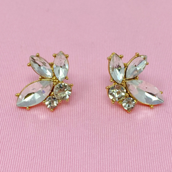 Fine Shine Earrings