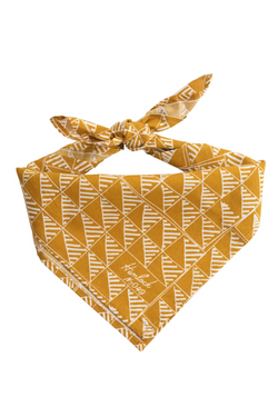 Asher Bandana