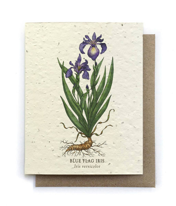 Plantable Card - Iris