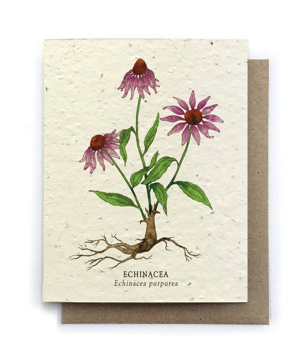 Plantable Card - Echinacea